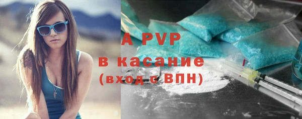 шишки Абинск