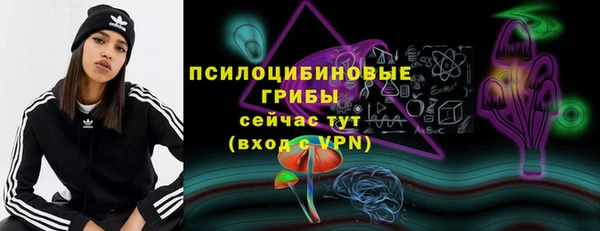 шишки Абинск