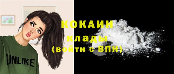 шишки Абинск