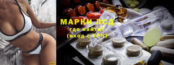 прущие грибы Алзамай