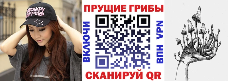 Псилоцибиновые грибы Cubensis  где найти   Красково 
