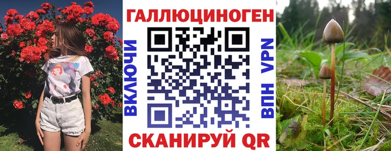 Галлюциногенные грибы прущие грибы Красково